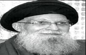آیت الله سیدمحمدعلی لواسانی