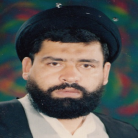 استاد سید حسن میر سید