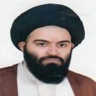 استاد سید محمد حسن موسوی 