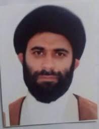 حجت الاسلام سید رضا بطحایی