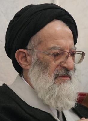 آیت الله العظمی شبیری زنجانی