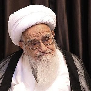 آیت الله العظمی صافی گلپایگانی 