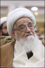 آیت الله العظمی صافی گلپایگانی